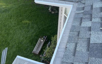 Are Gutter Guards Worth It for Homeowners?