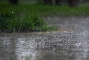 What To Look For After a Major Rain Storm